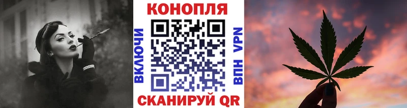 как найти наркотики  Протвино  Шишки марихуана сатива 